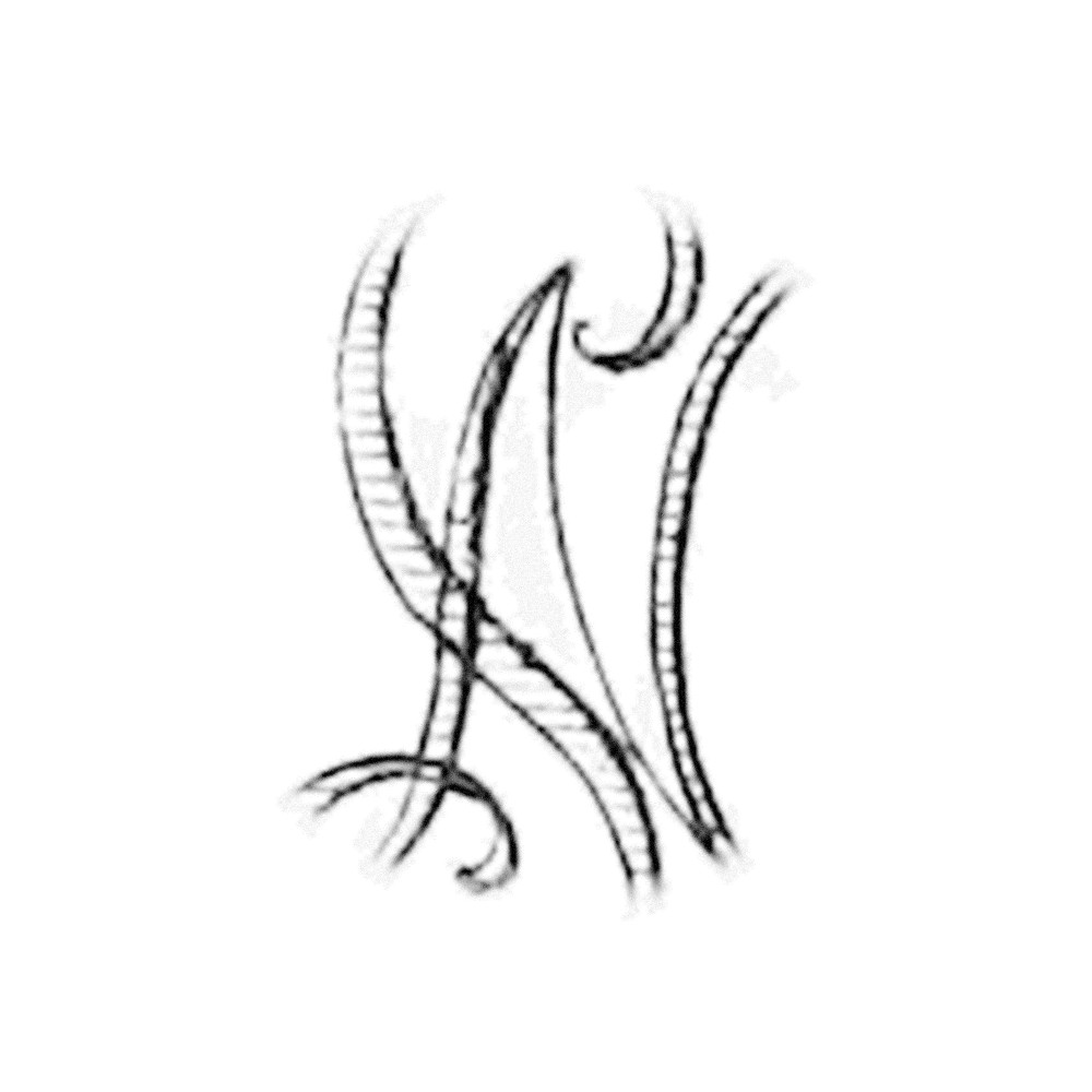 Plate V - SN