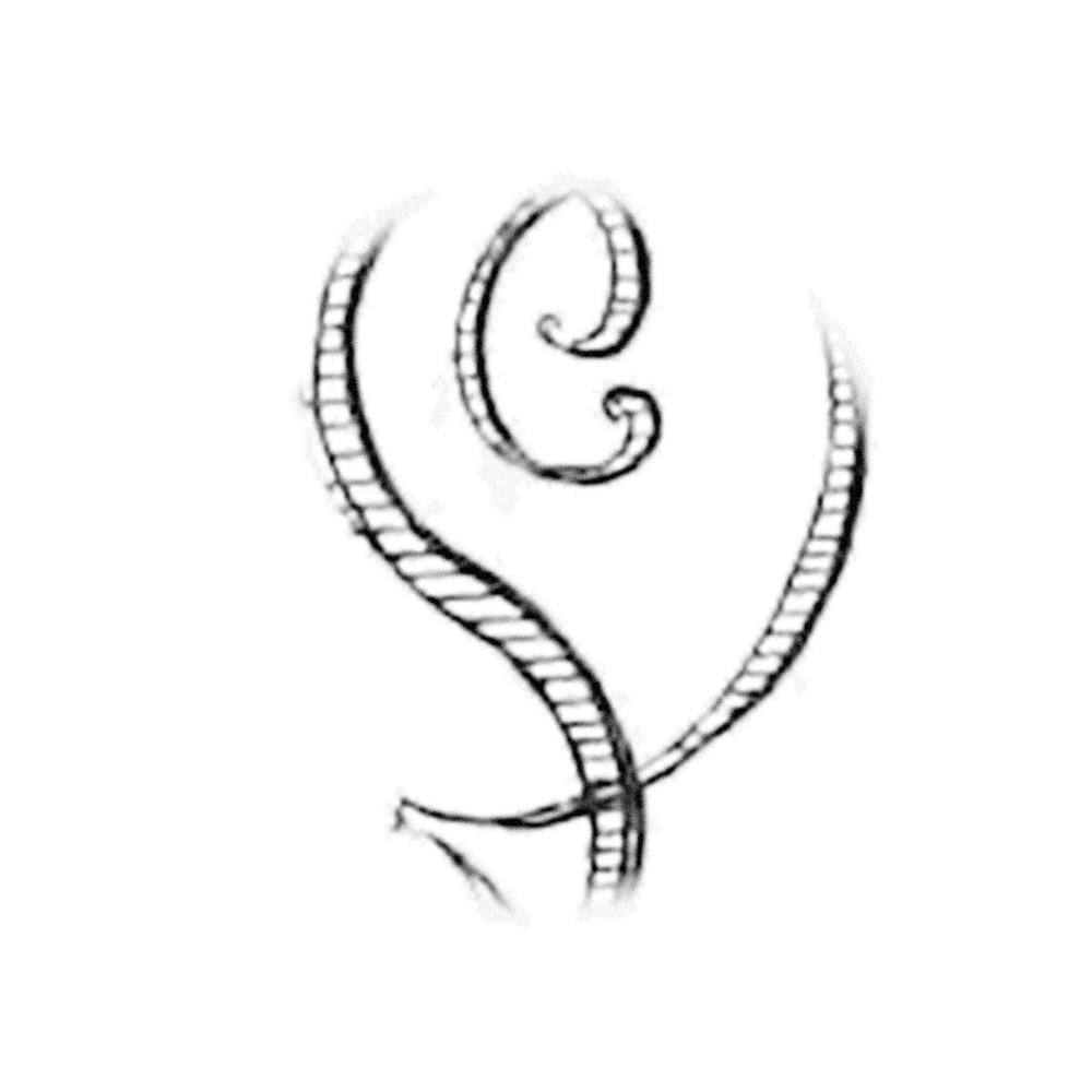 Plate III - QS