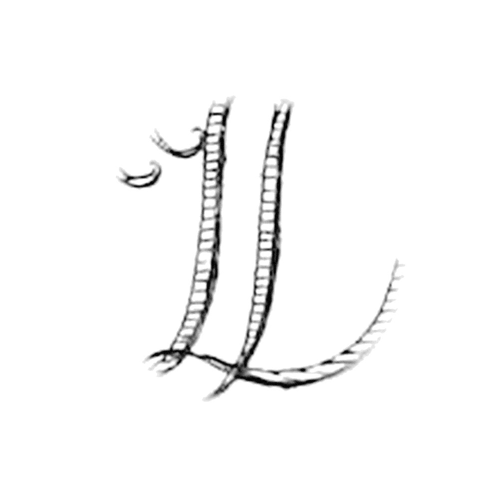 Plate VI - TD