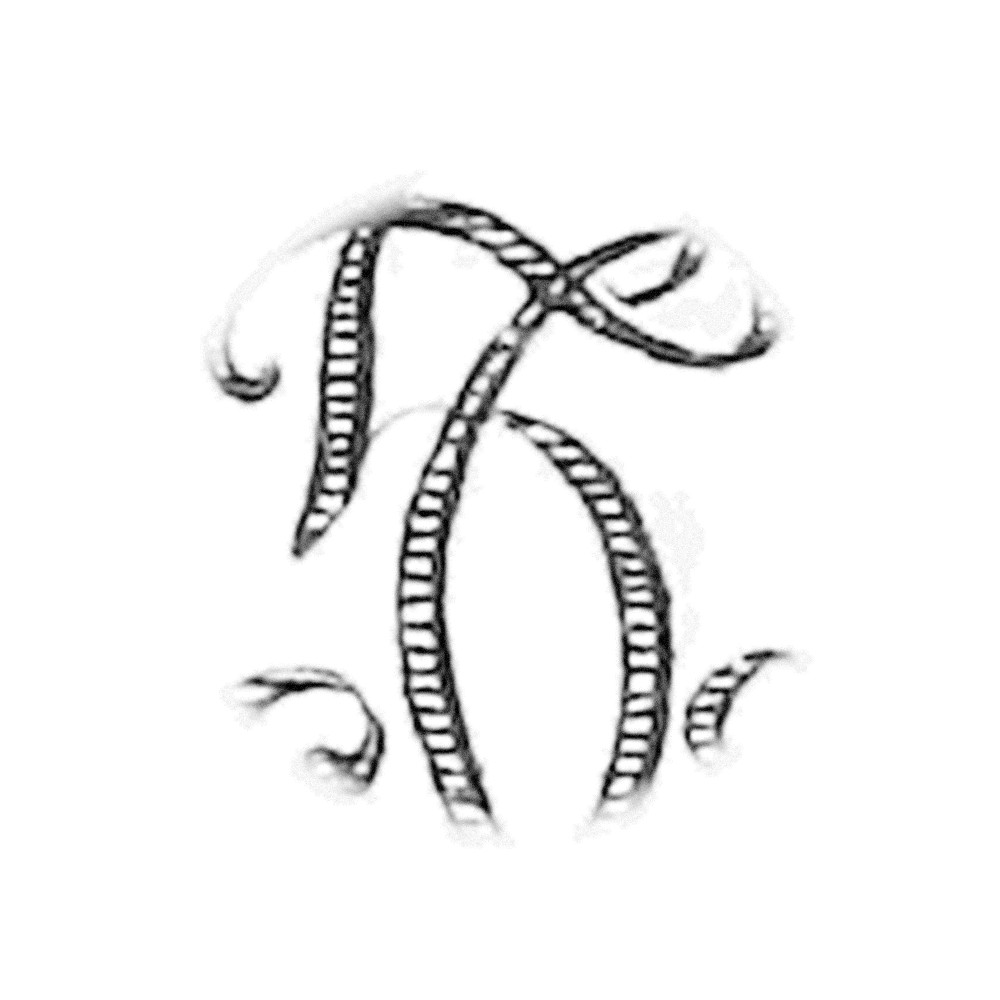 Plate V - HT