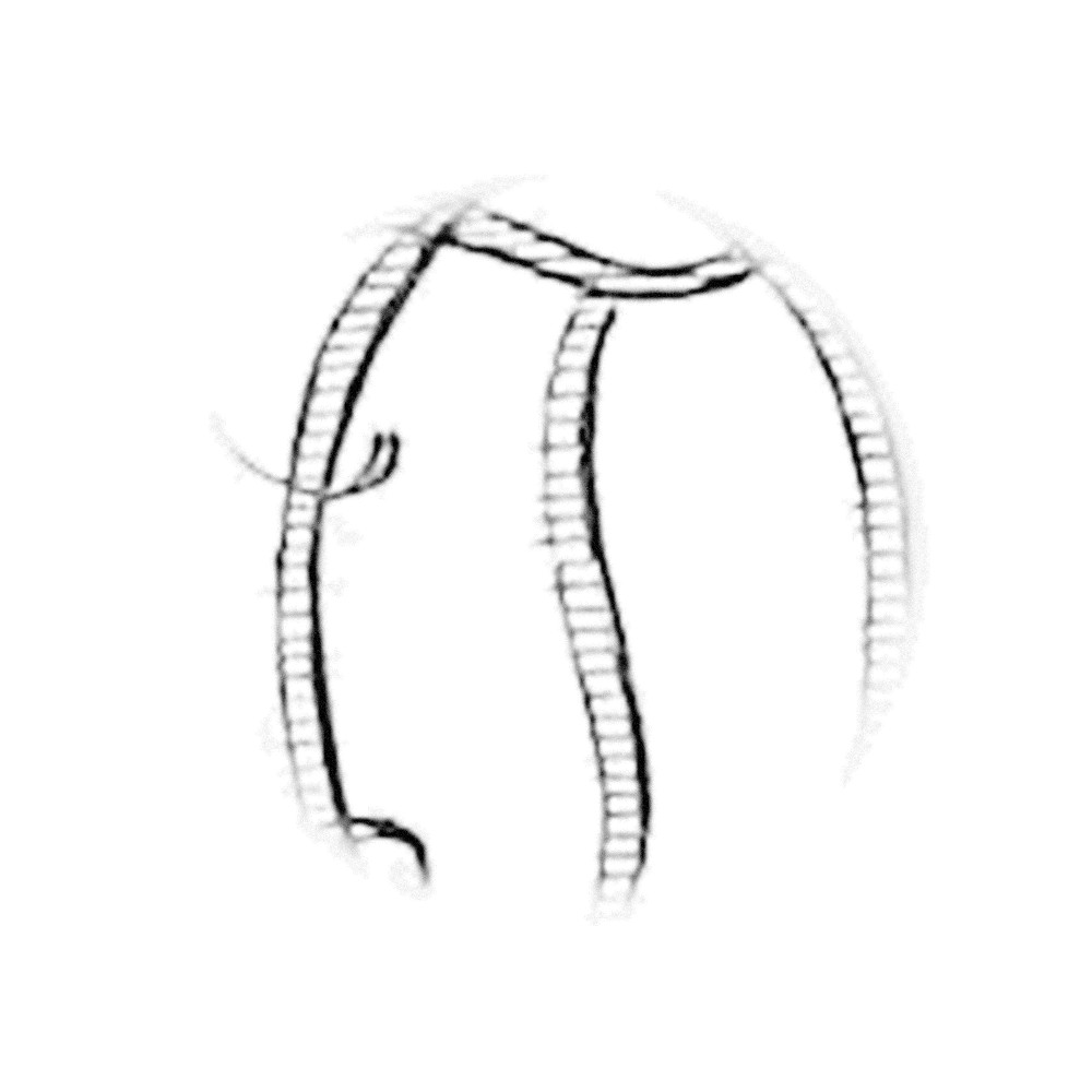 Plate III - OT