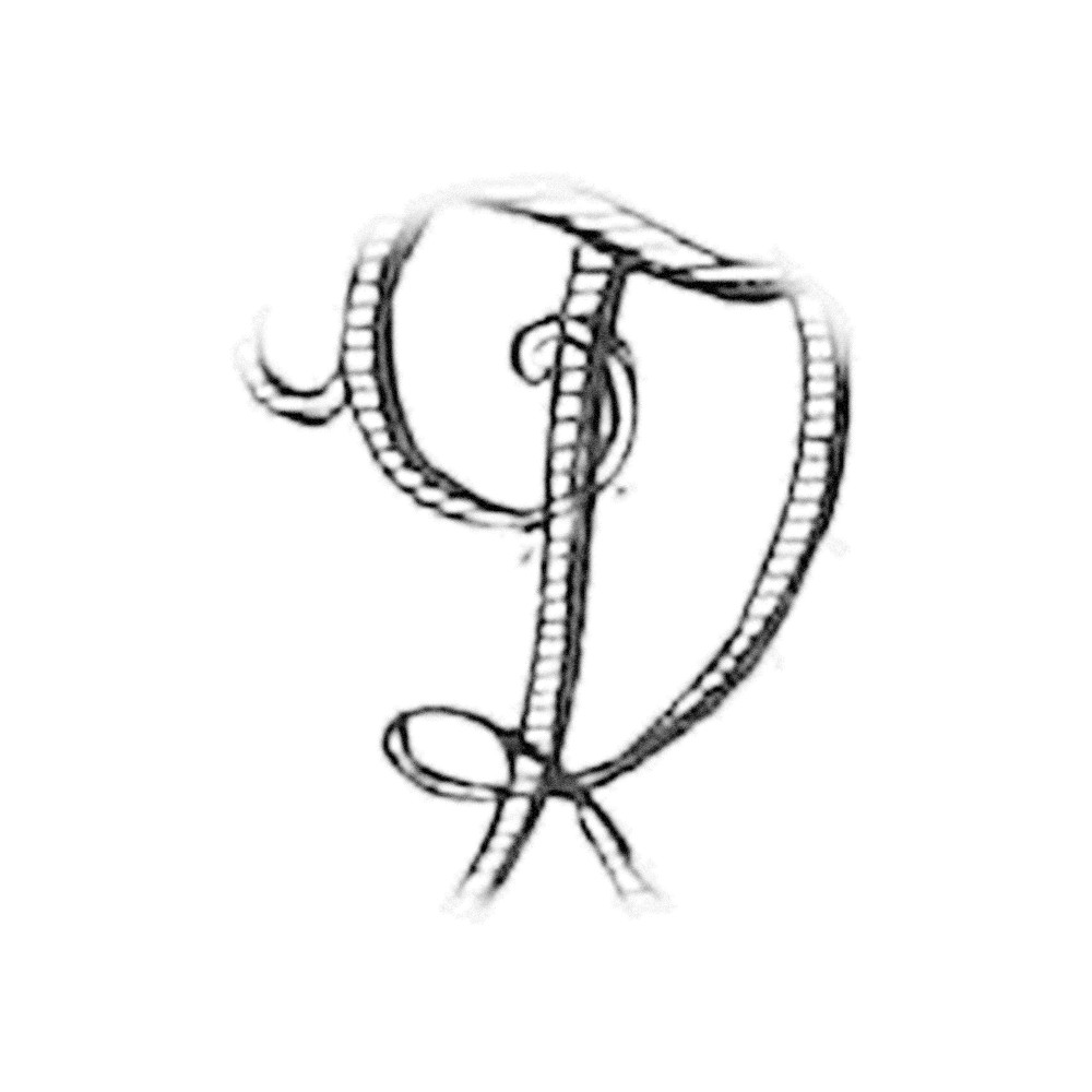 Plate III - QT