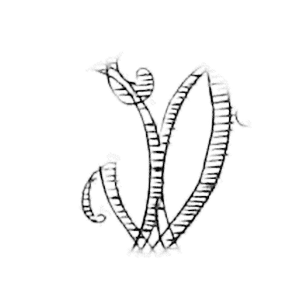 Plate III - TZ