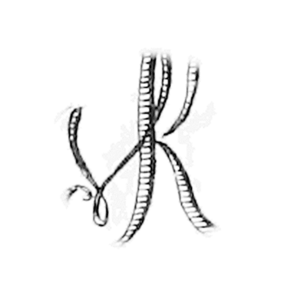 Plate VI - UK