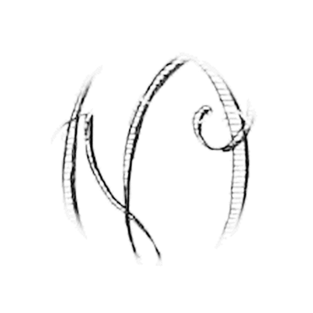 Plate III - UO
