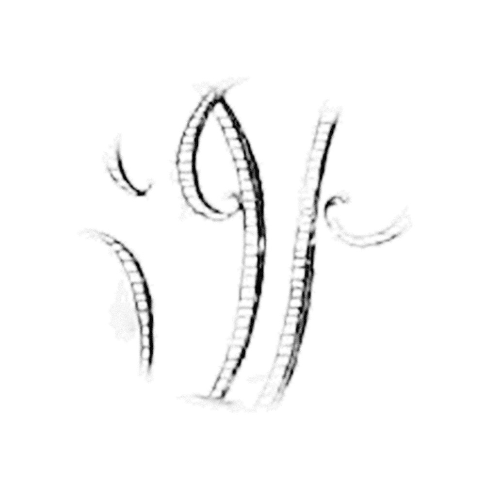 Plate III - UP