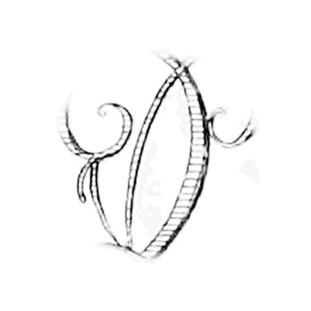 Plate IV - QU