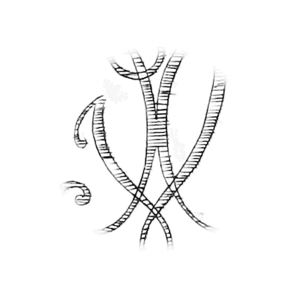 Plate IV - UX