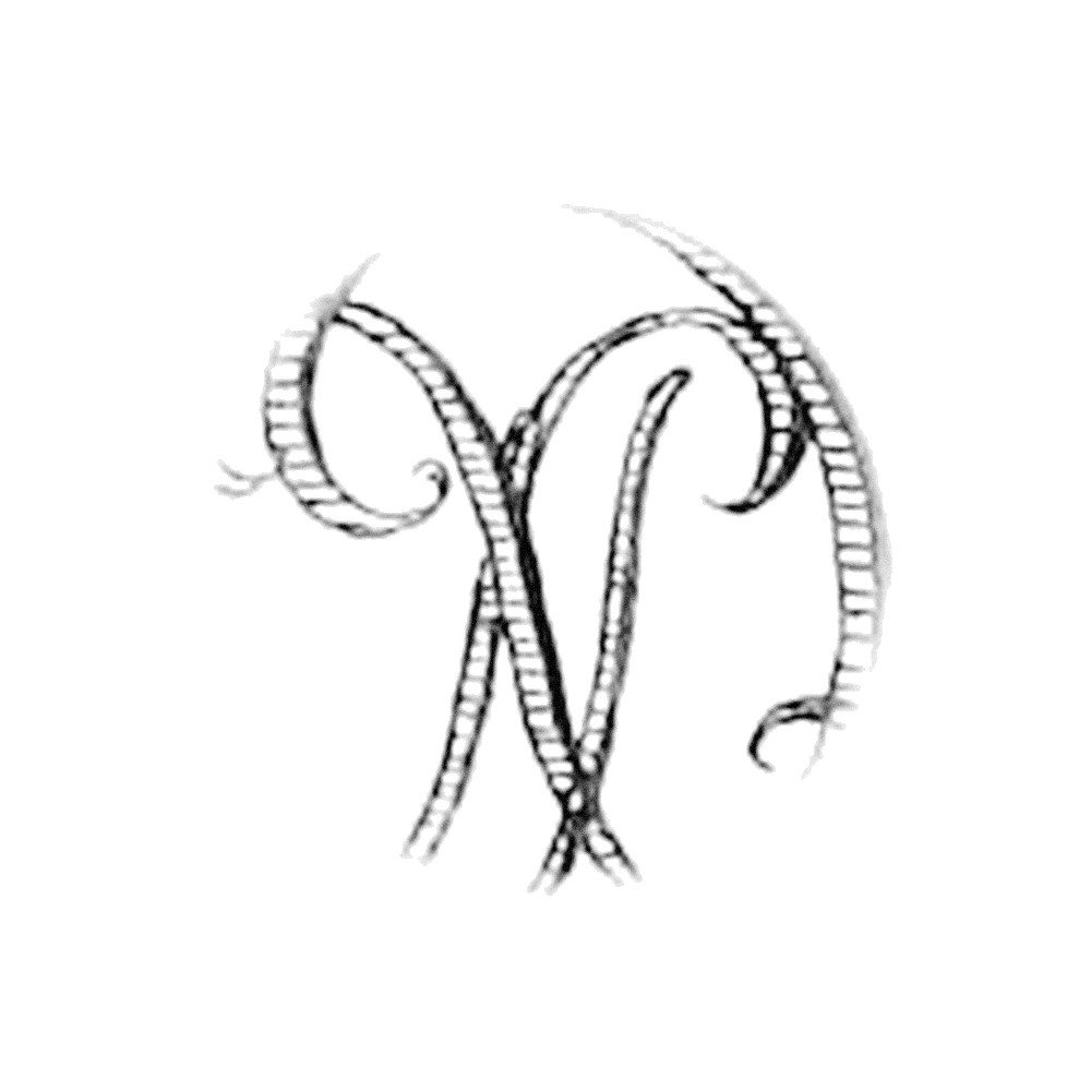 Plate XI - DX
