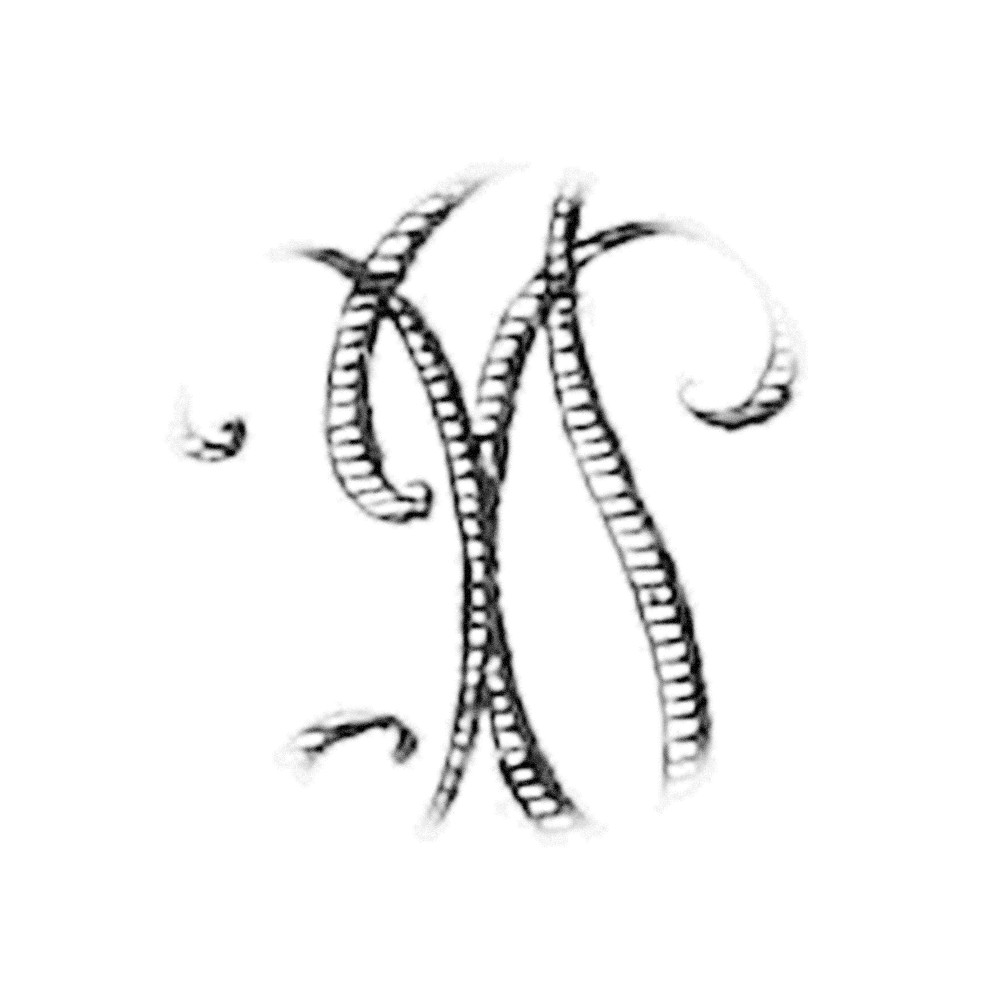 Plate IX - IX