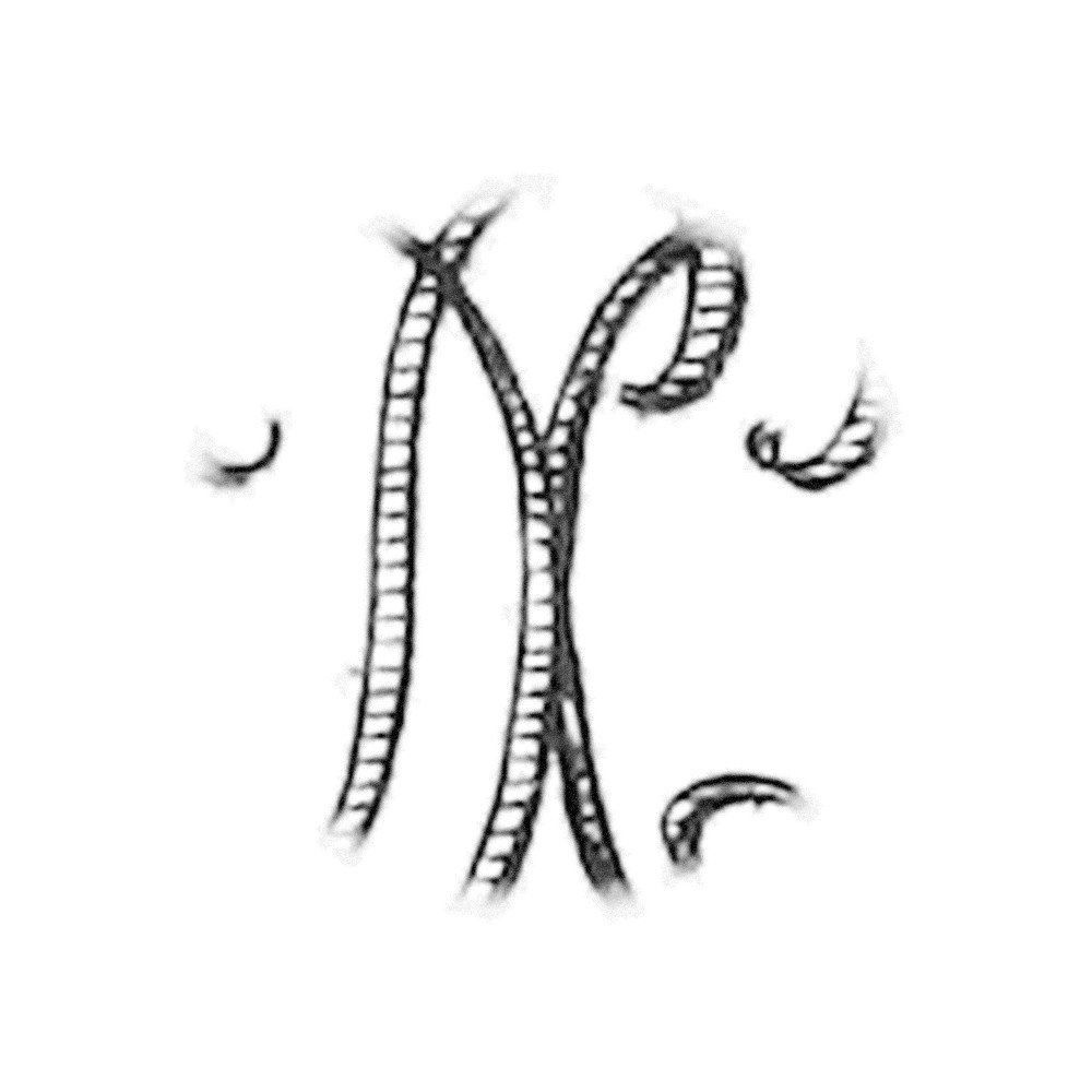 Plate VIII - LX