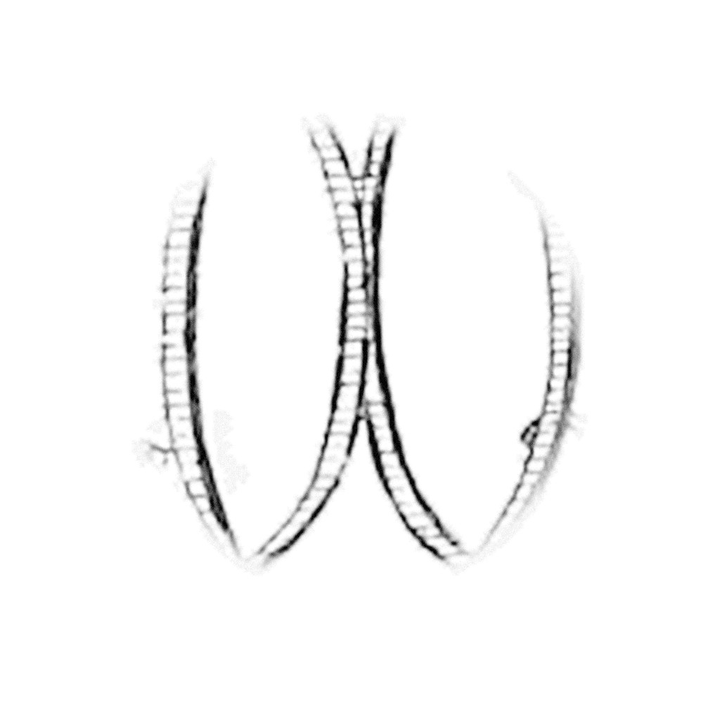 Plate III - XO