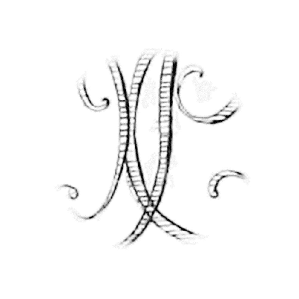 Plate VIII - XP