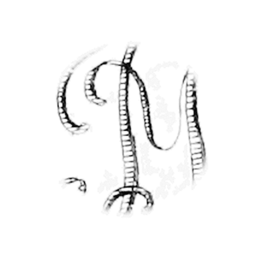 Plate III - YI
