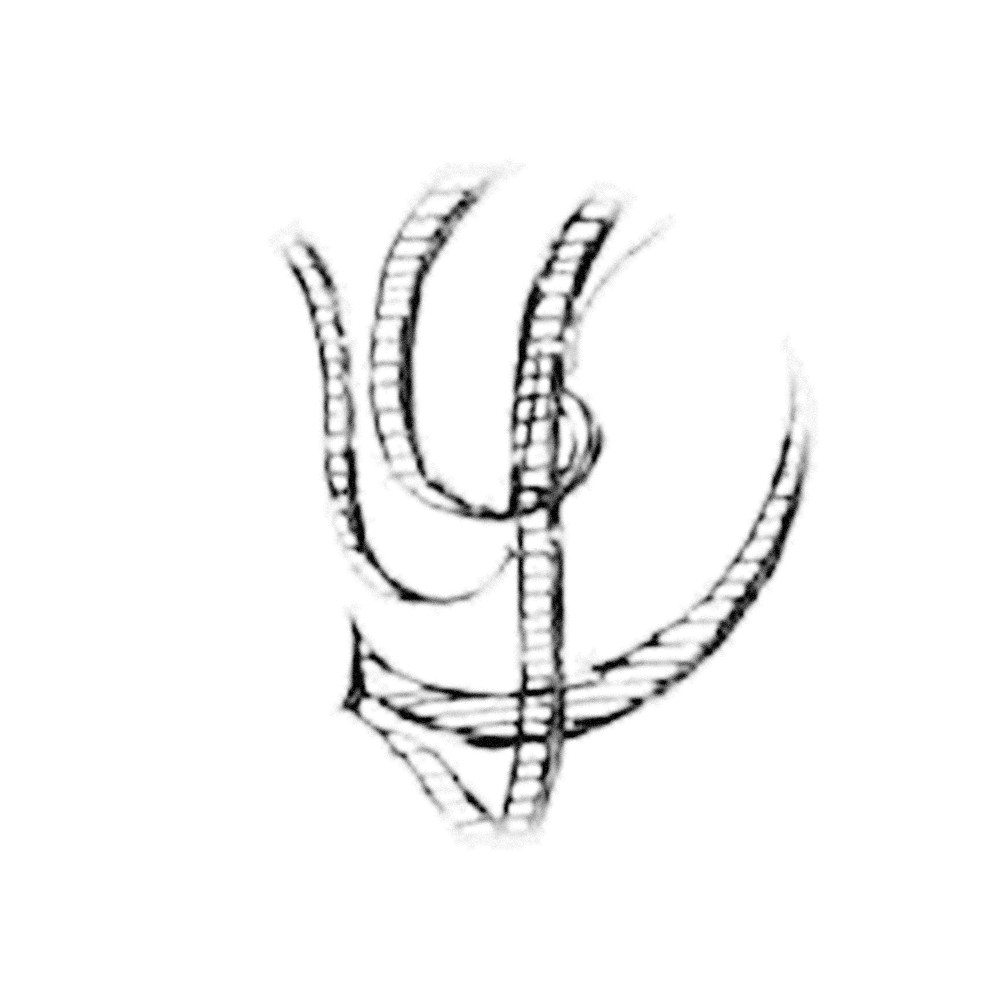 Plate III - QY