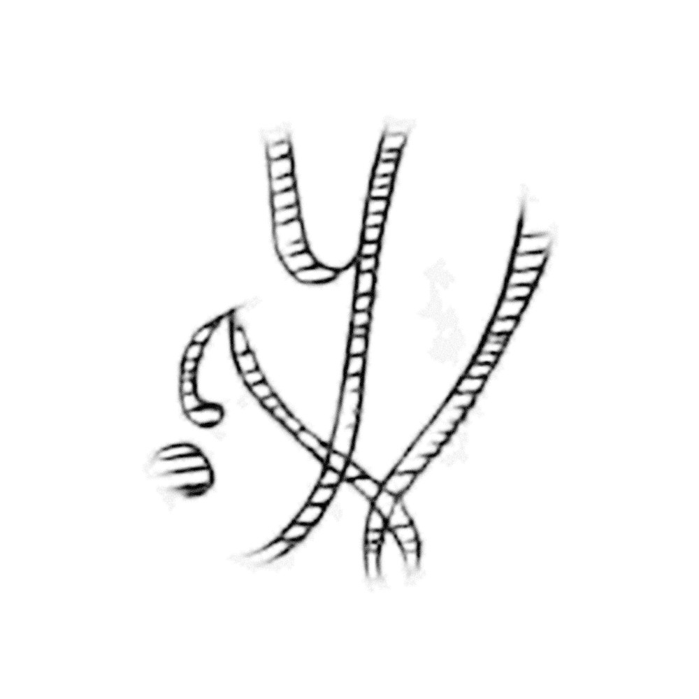 Plate IV - UY