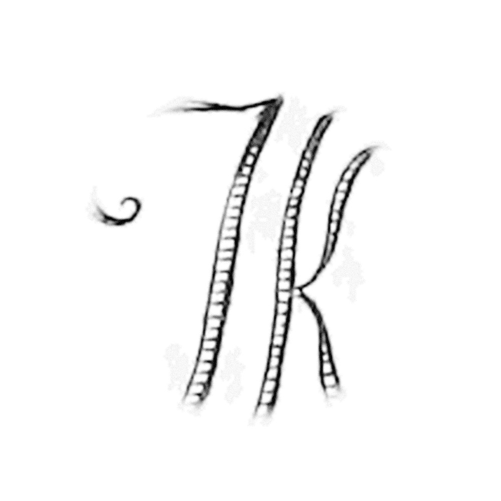 Plate VI - KZ