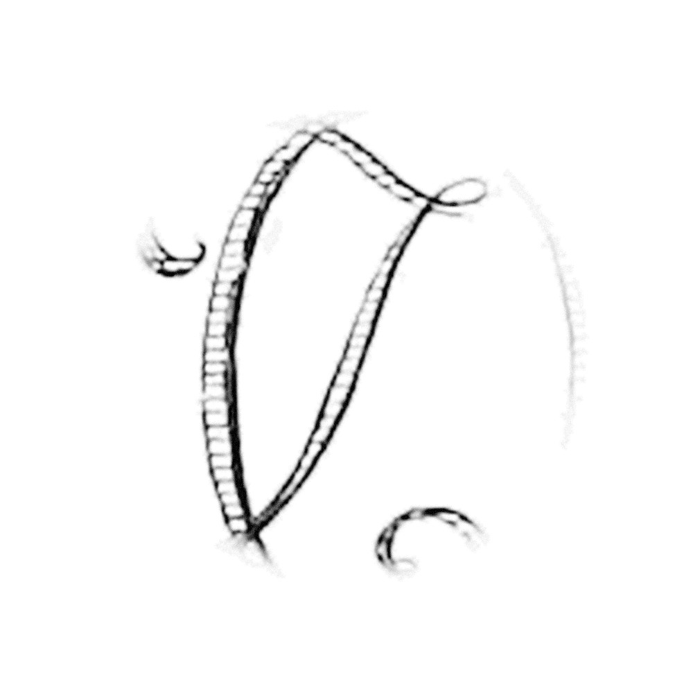 Plate III - OZ