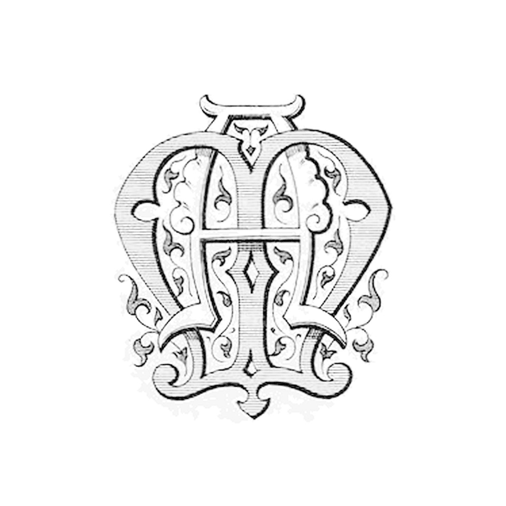 Plate IV - AM