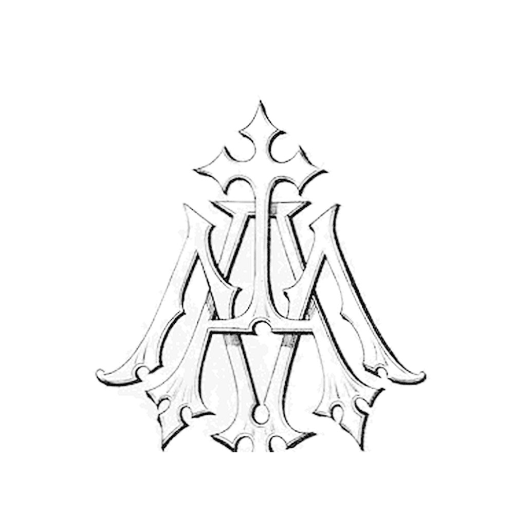 Plate VI - AM