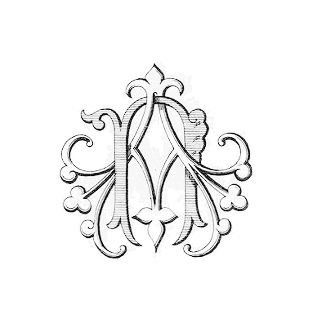 Plate VII - AN