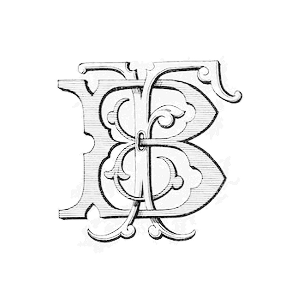 Plate II - BF