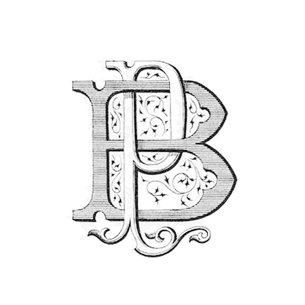 Plate II - BP