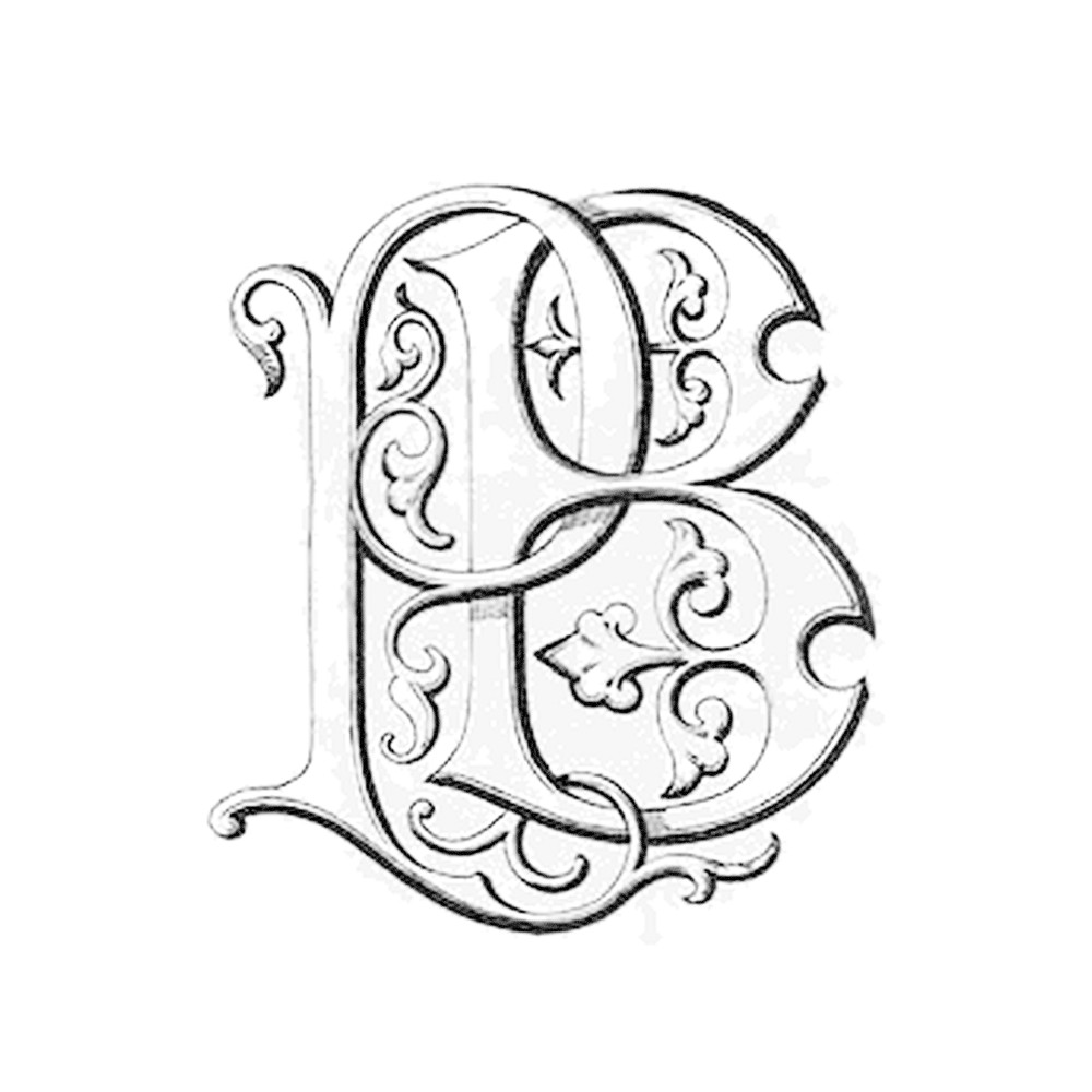 Plate IV - BP