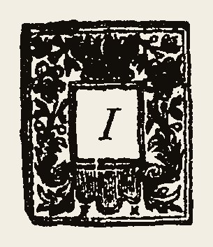 Ornament 0242