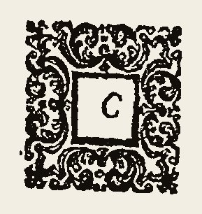 Ornament 0243