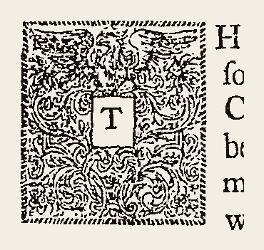 Ornament 0250