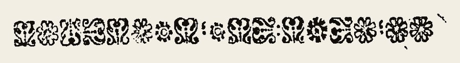 Border 1256