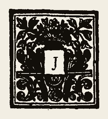 Ornament 0325