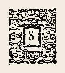 Ornament 0329