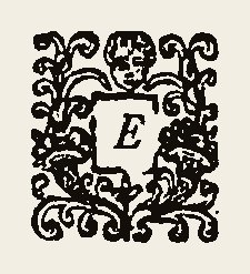 Ornament 0335