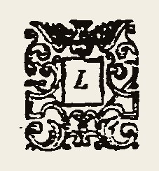 Ornament 0338