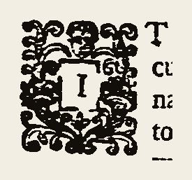 Ornament 0342