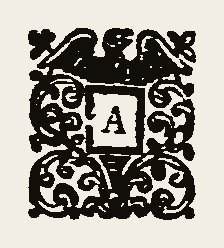 Ornament 0343