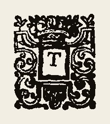 Ornament 0344