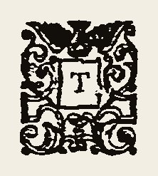 Ornament 0349