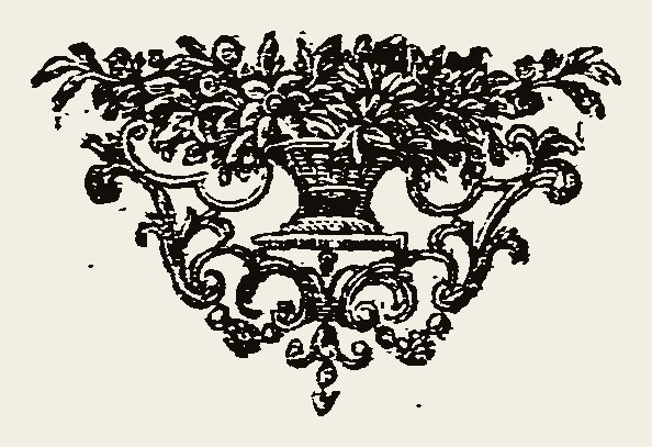 Ornament 0351