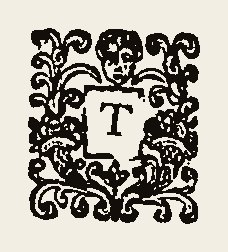 Ornament 0354