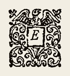 Ornament 0355