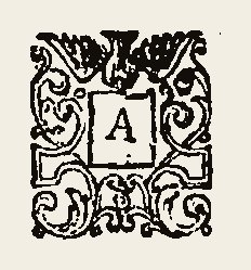 Ornament 0356