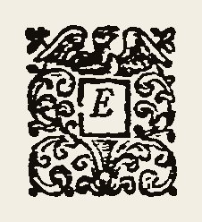 Ornament 0366