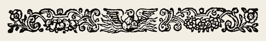 Border 1308