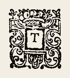 Ornament 0371