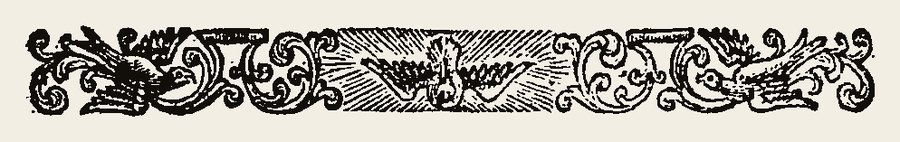 Border 1310
