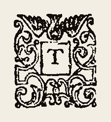 Ornament 0374