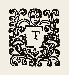Ornament 0376